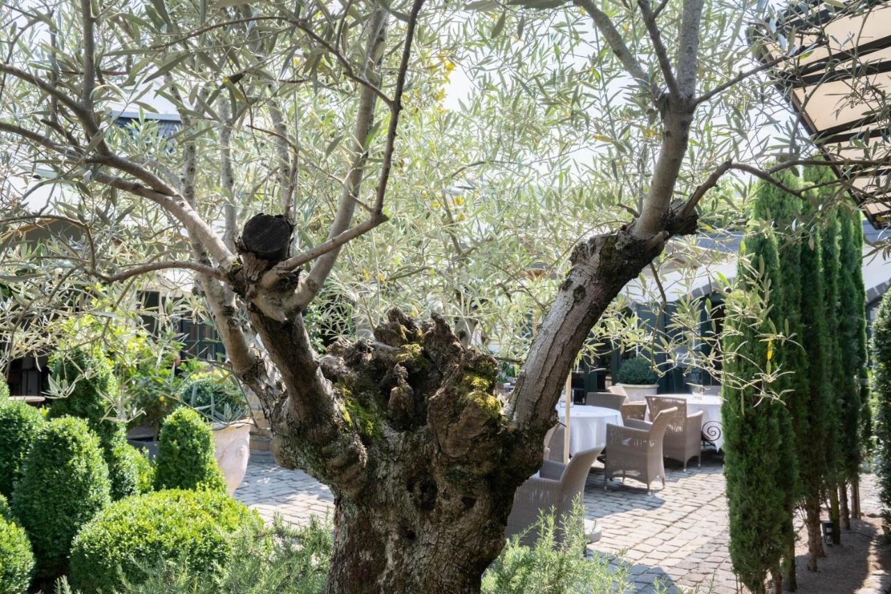 Wein Und Landhaus Kallfels Kröv Εξωτερικό φωτογραφία