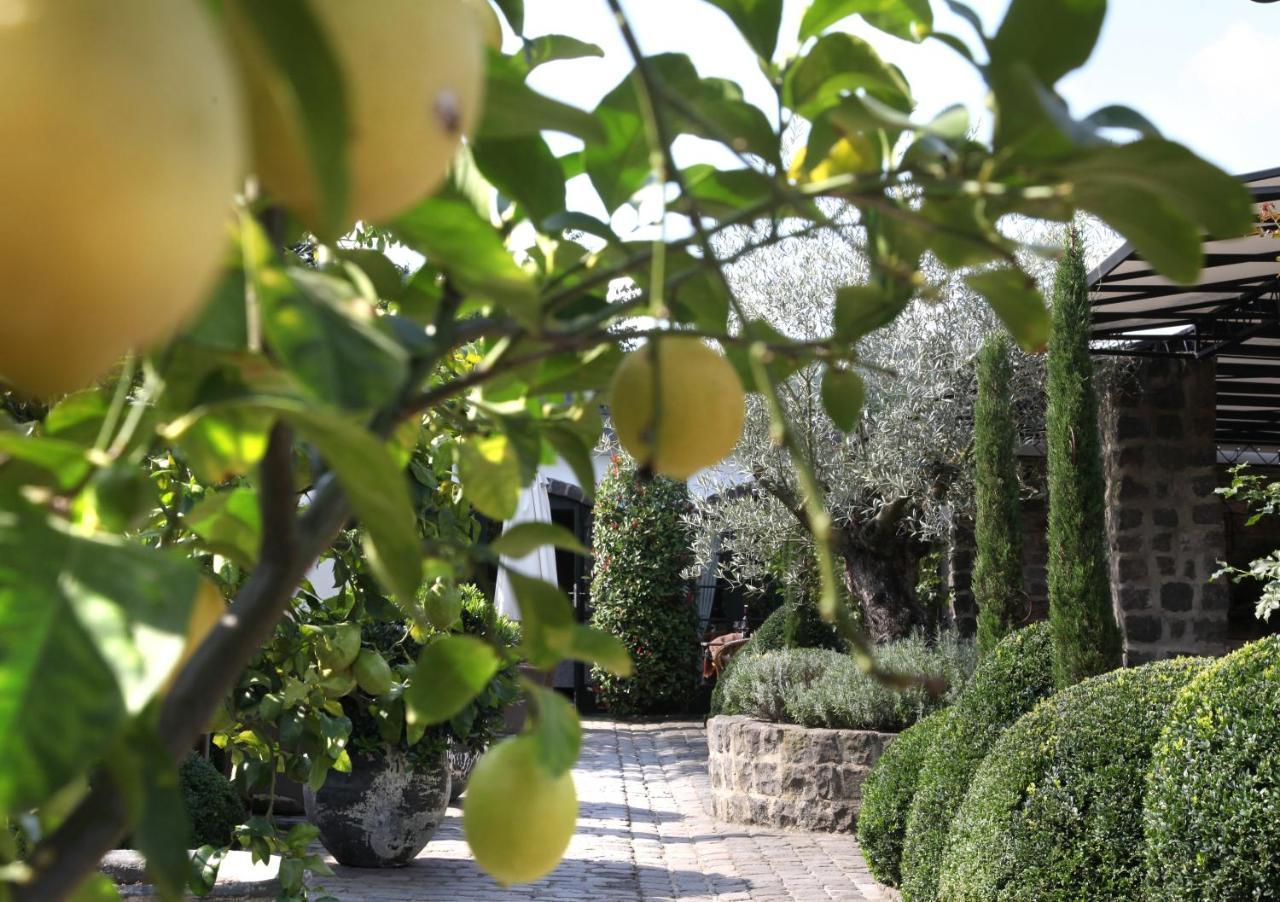 Wein Und Landhaus Kallfels Kröv Εξωτερικό φωτογραφία